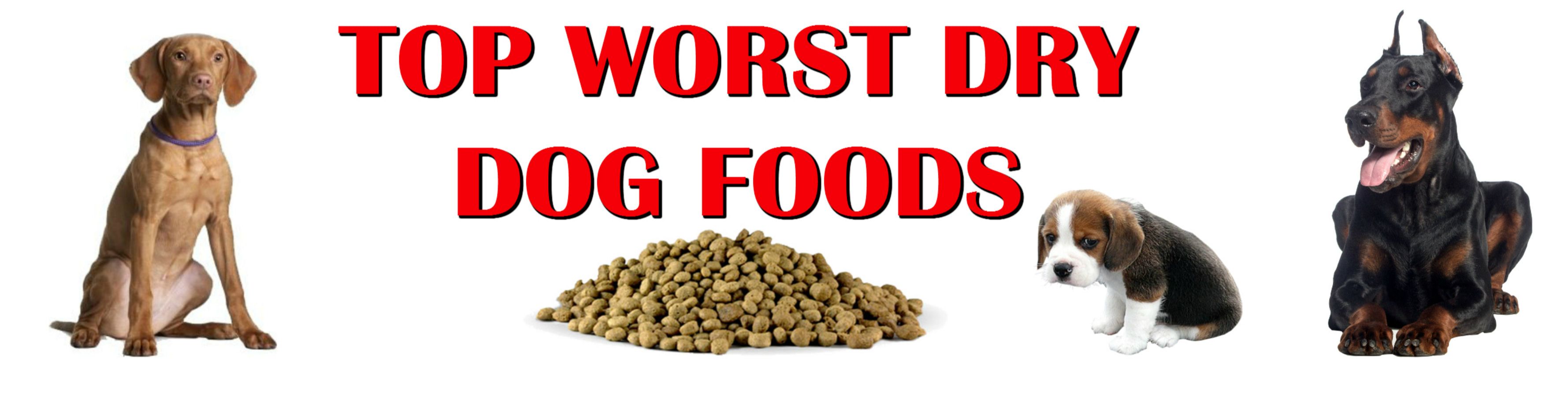 worst dog foods on the market