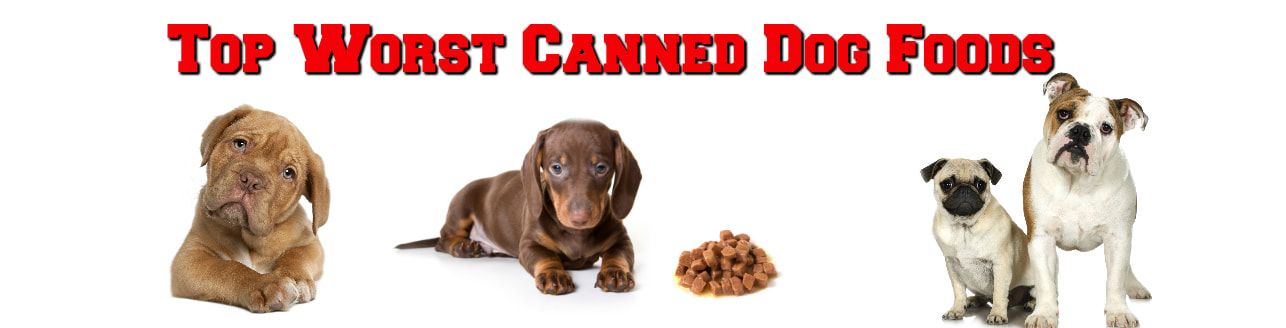 worst canned dog food
