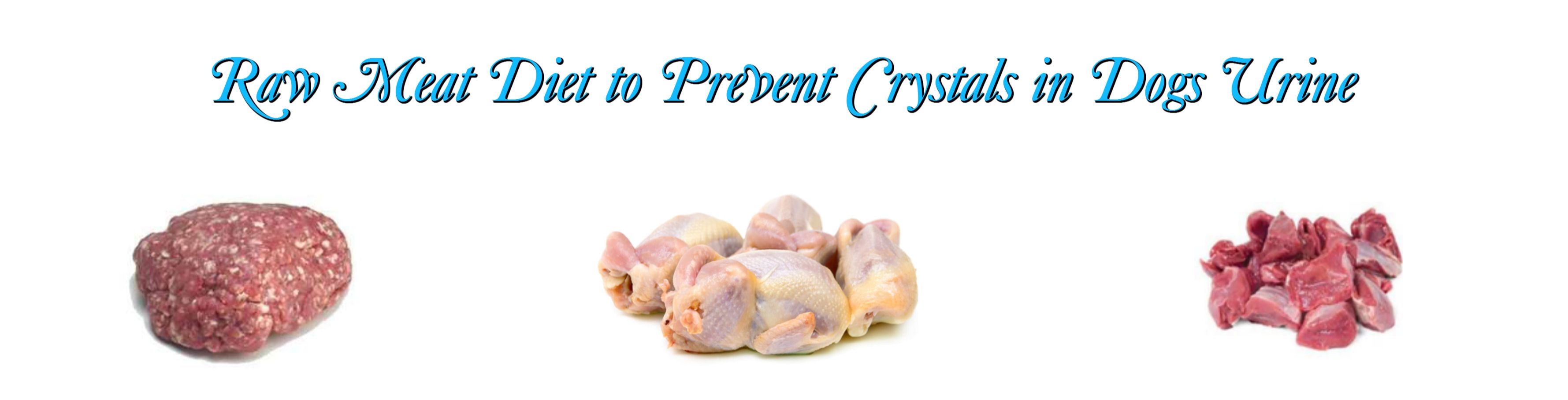 struvite crystals in dogs foods to avoid